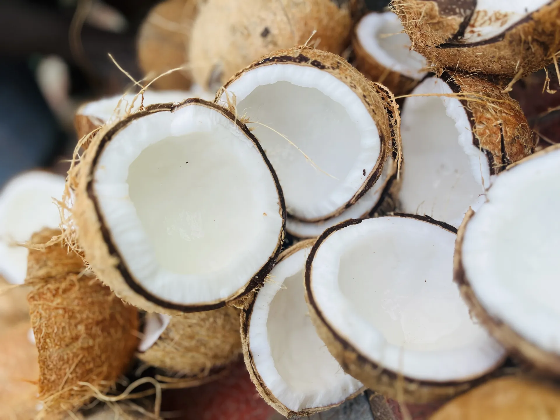 Fresh Coconut Halves Ready for Oil Processing